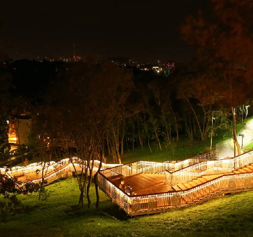 Enhance Safety and Aesthetics with Landscape Lighting