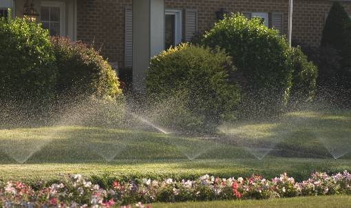 Landscape Irrigation