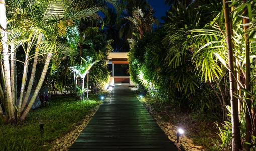 Light the Way with Landscape Lighting